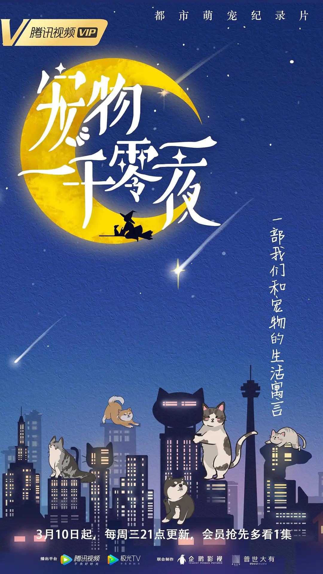 宠物一千零一夜海报
