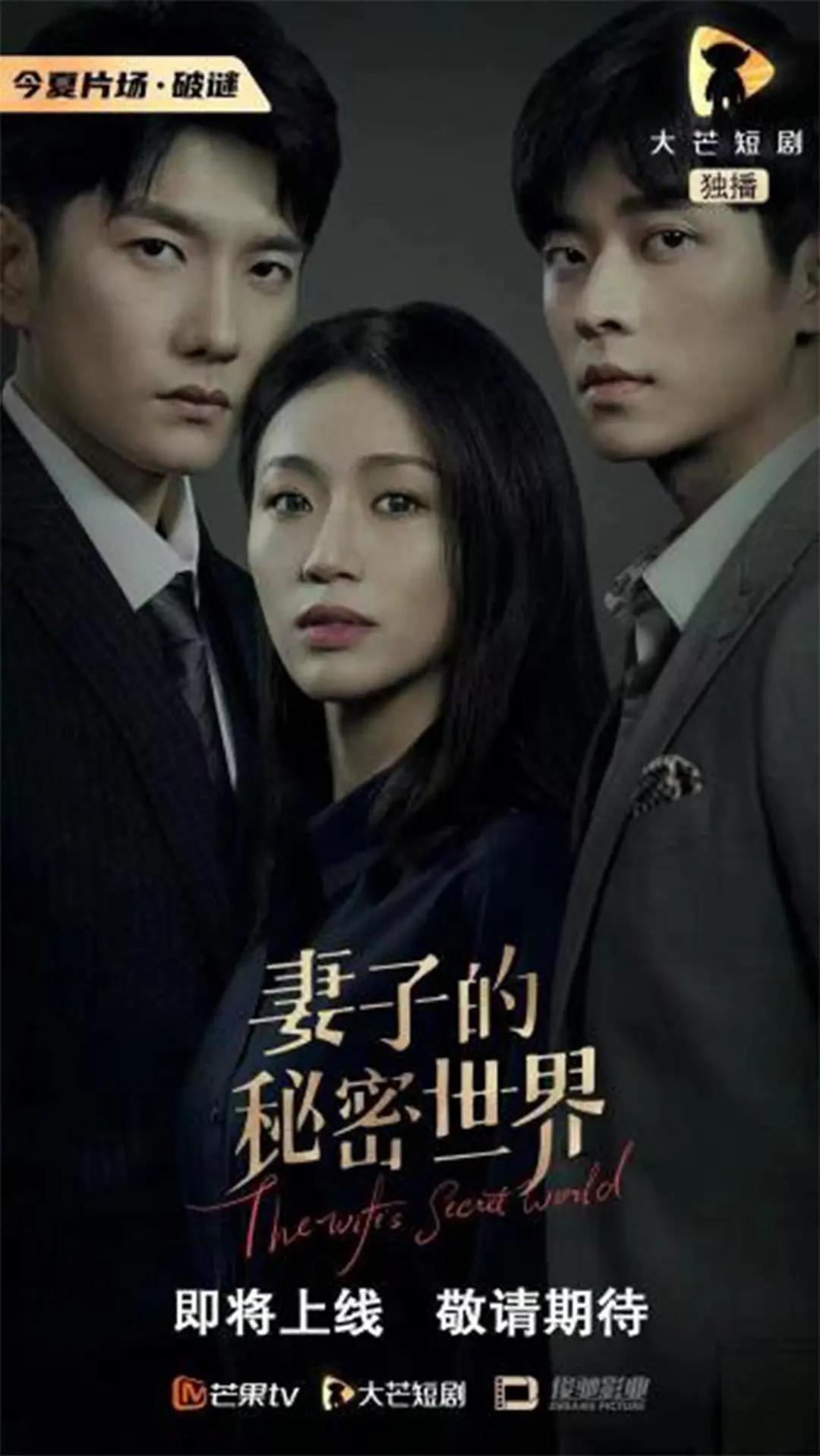 妻子的秘密世界海报
