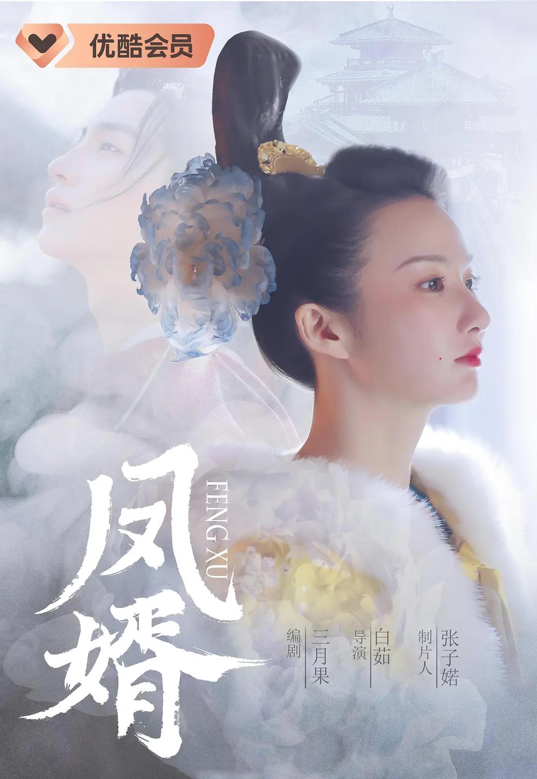 凤婿海报