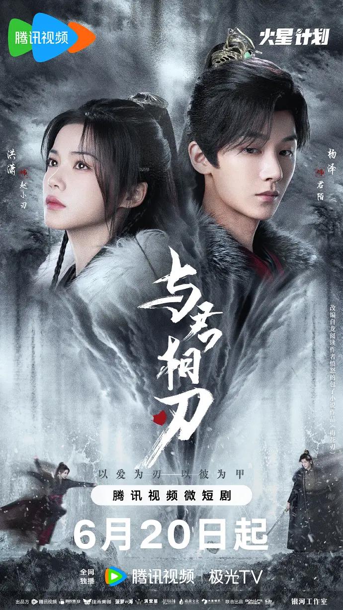 与君相刃海报