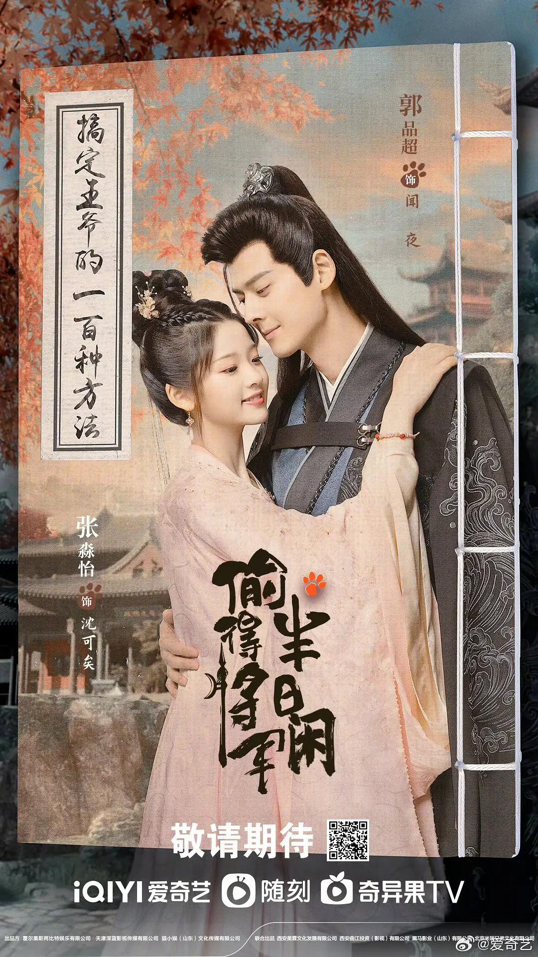 偷得将军半日闲海报
