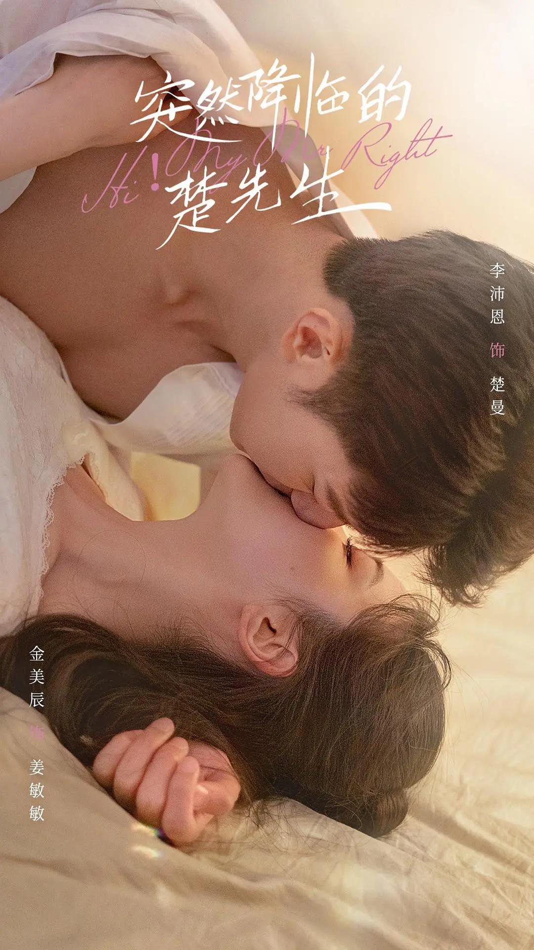 突然降临的楚先生海报
