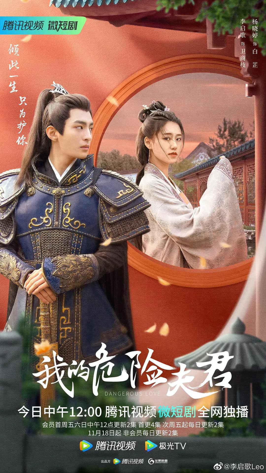 我的危险夫君海报