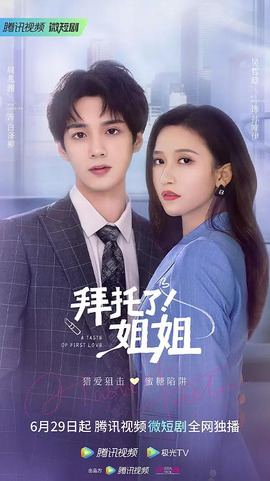 拜托了!姐姐海报