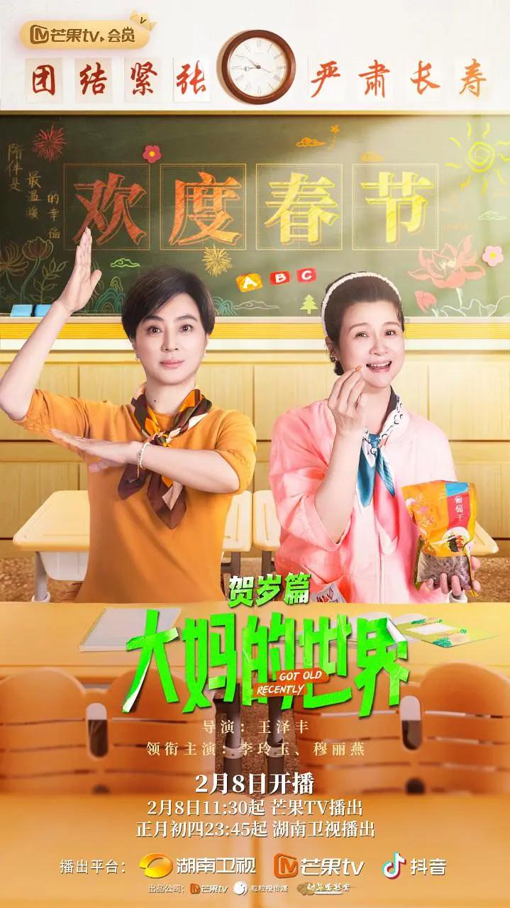 大妈的世界贺岁篇海报