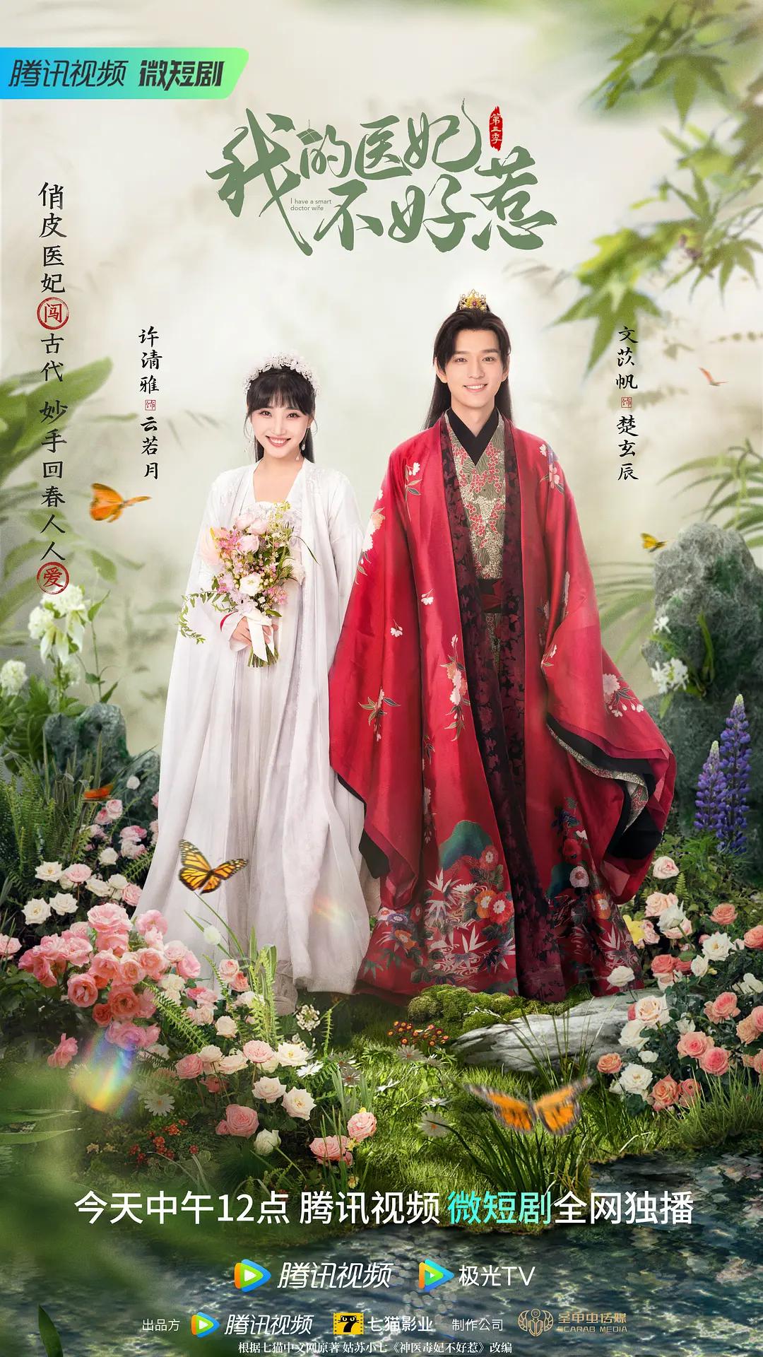 我的医妃不好惹3海报