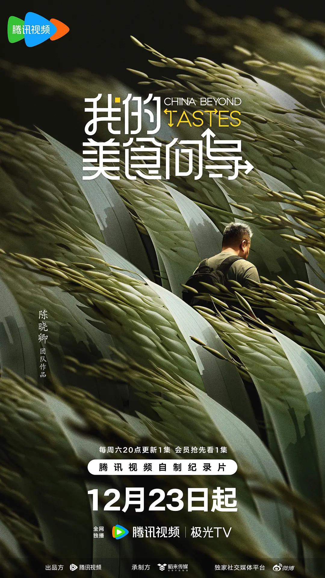 我的美食向导海报