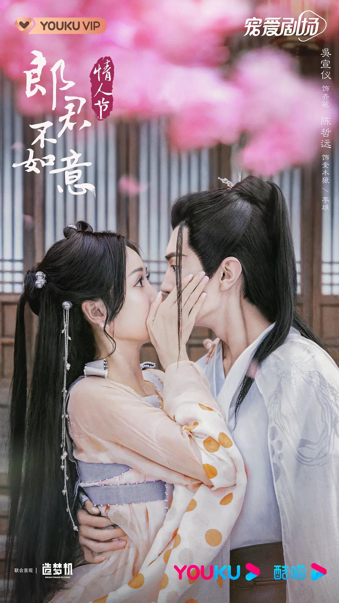 郎君不如意海报