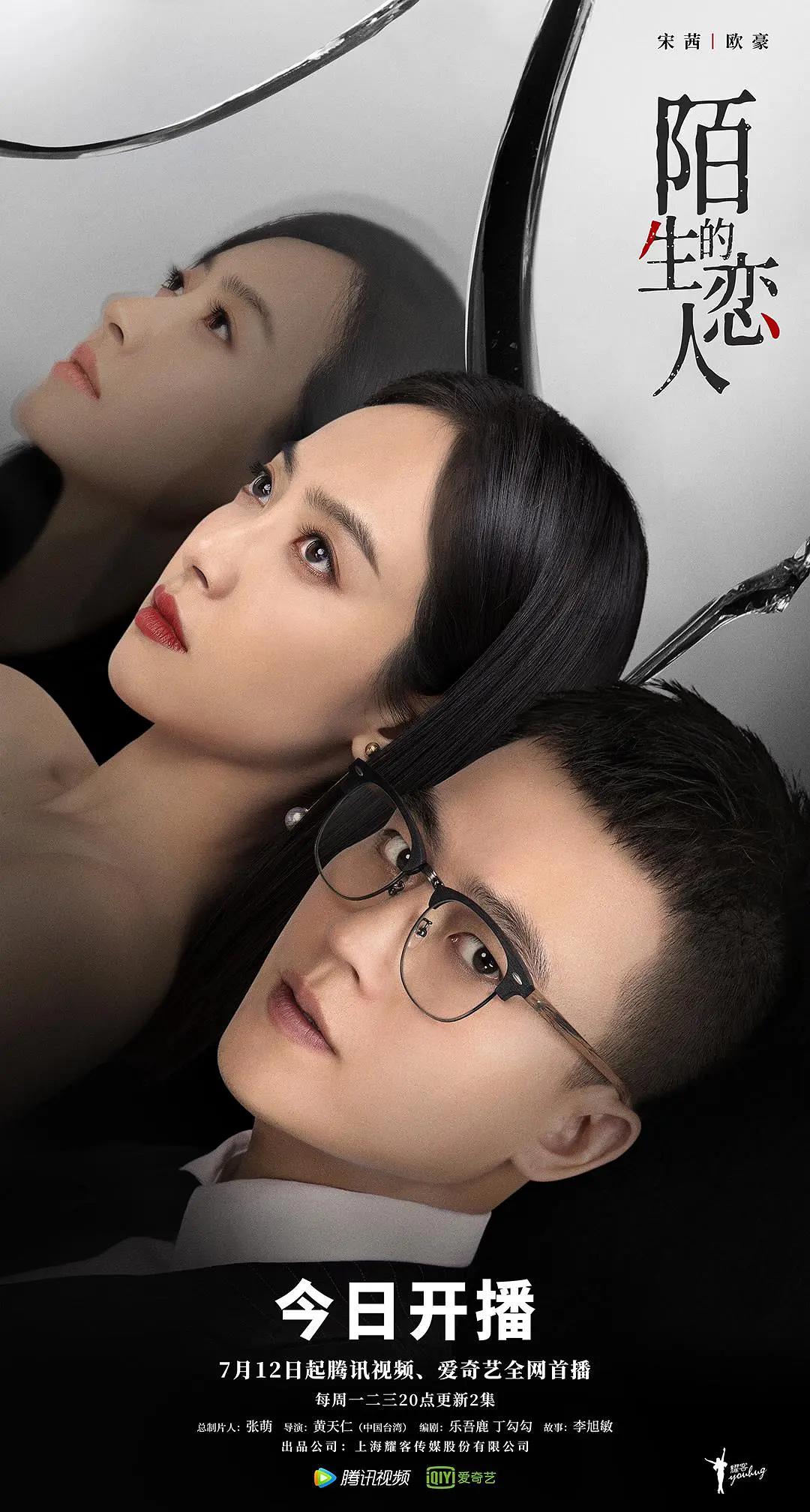 陌生的恋人海报