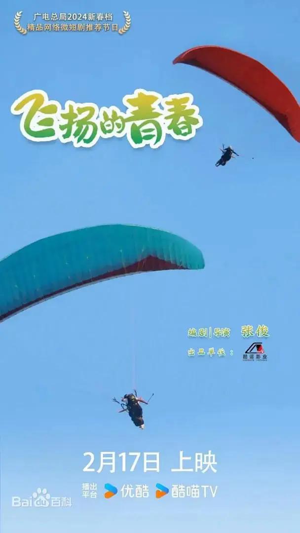飞扬的青春海报