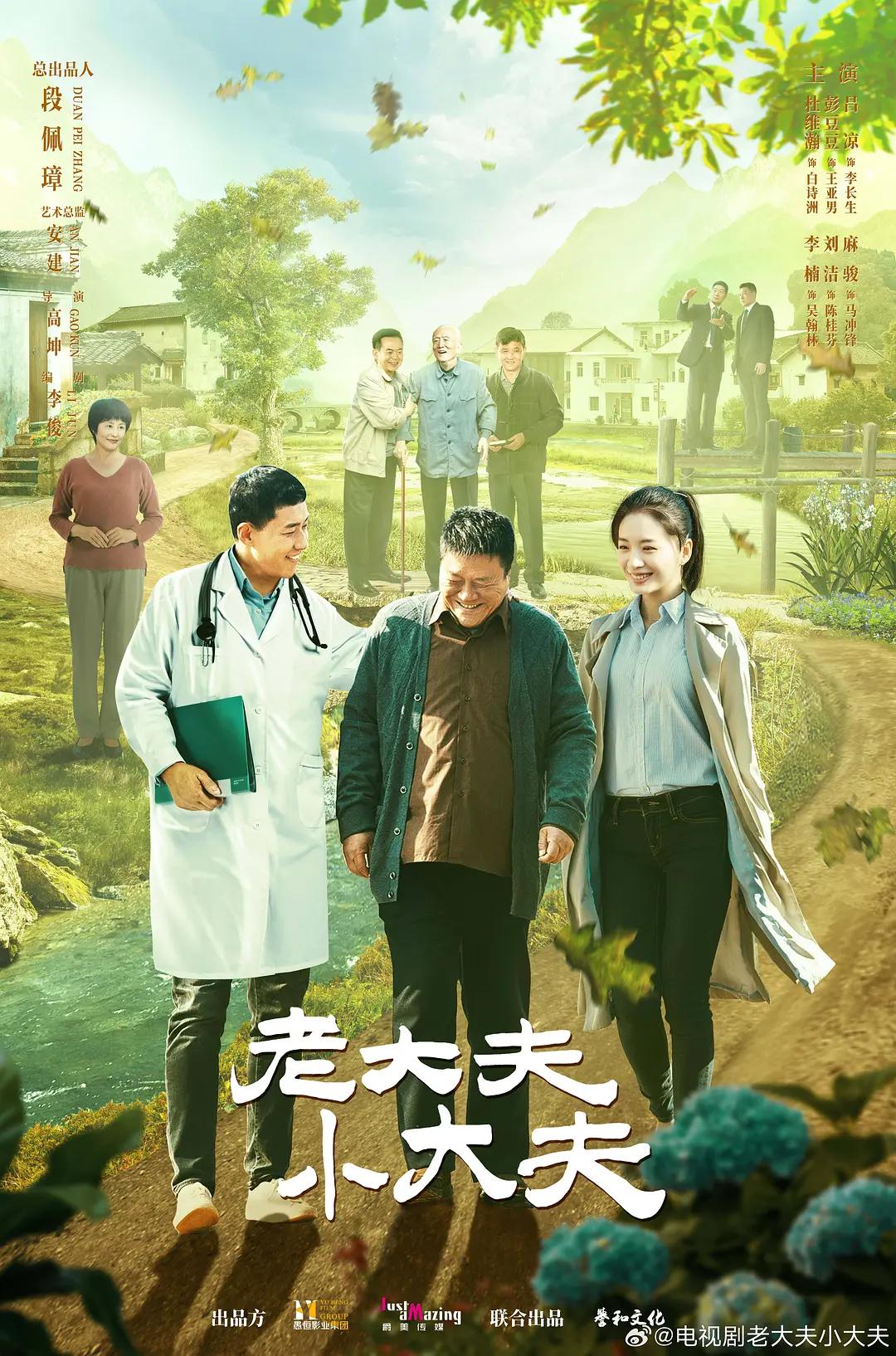 老大夫 小大夫海报